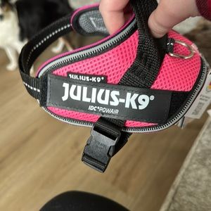 Julius K-9 powair harness